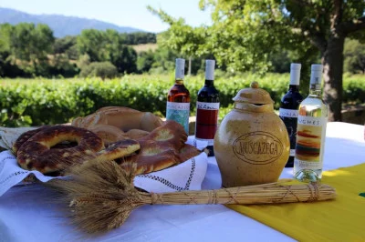 Thumbnail Weinprobe auf der Tenuta Muscazega mit Blick auf die Limbara Hills
