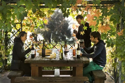 Thumbnail for Wine Tour di mezza giornata nel Chianti Rufina con pranzo da Firenze
