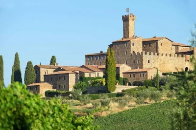 Thumbnail Wine Tour di una giornata dei Castelli-Cantina del Chianti da Firenze