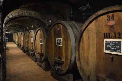 Thumbnail Brunello di Montalcino Wine Tour Esclusivo di un giorno da Firenze