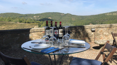 Thumbnail Exclusive Chianti Half-Day Wine Tour with Dinner from Florence