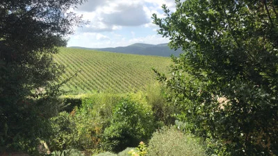 Thumbnail for Wine Tour Esclusivo di un giorno nel Chianti Classico da Firenze