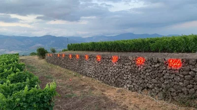 Thumbnail Wine, Art & Landscape Tasting at Planeta Sciaranuova