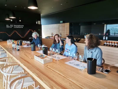 Thumbnail Concept Guided Wine Tasting & Tour at Lavradores de Feitoria
