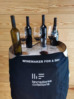 Thumbnail Winemaker for a day Experience at Lavradores de Feitoria