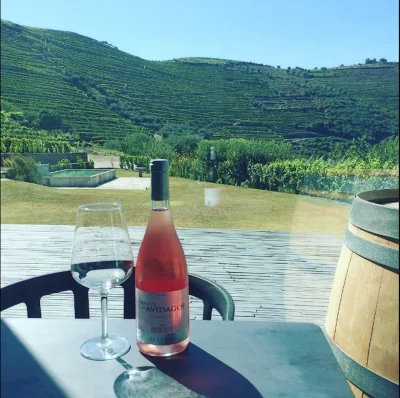 Thumbnail Degustazione di vini con vista sulla Valle del Douro presso Quinta dos Avidagos
