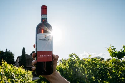 Thumbnail Tasting of 6 Lake Garda wines at Giovanna Tantini Winery