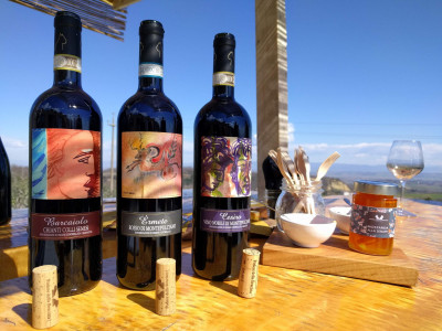 Thumbnail Artisanal Wine Tasting on the panoramic terrace of Podere della Bruciata