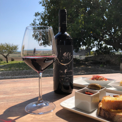 Thumbnail Wine Tasting & Light Lunch Experience at Tenuta La Favola