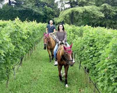 Thumbnail for Horse riding through the Vineyards of Monte del Frà
