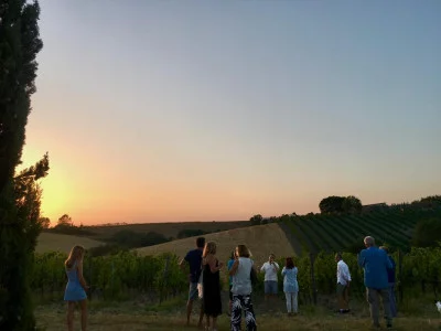 Thumbnail Wine Tasting and Tour at La Chimera d'Albegna in the heart of Maremma
