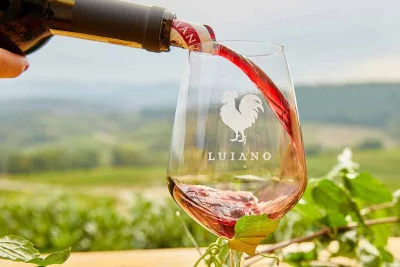 Thumbnail Private full-day Chianti Wine Tour from Livorno Port