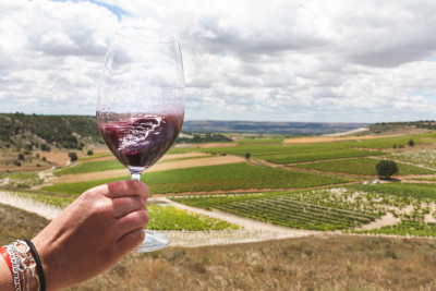 Thumbnail Wine Experience: Wine Speaks to You at Bodegas Emilio Moro