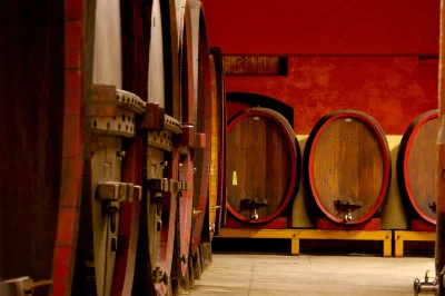 Thumbnail Verkostung von 3 Weinen auf dem Weingut Guasti Clemente im Herzen des Monferrato