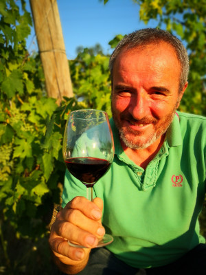 Thumbnail Degustazione Wine Relais presso Tiberini a Montepulciano