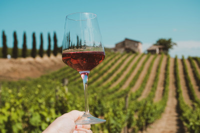 Thumbnail Wine Tasting Experience at Contesa Vini
