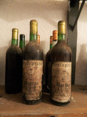 Thumbnail Primitivo di Manduria Exclusive Tasting at the Soloperto Winery