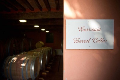 Thumbnail Wine Tasting in the organic and biodynamic winery of Fattoria Sardi in Lucca