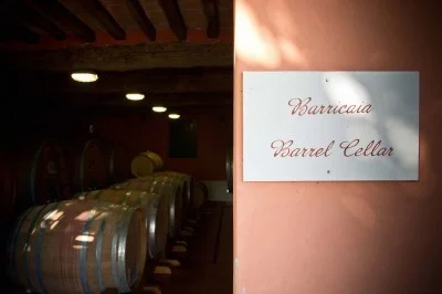 Thumbnail Cata de vinos en la bodega ecológica y biodinámica de Fattoria Sardi en Lucca