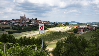 Thumbnail Platinum Wine Tasting at the Garrone Winery in Monferrato
