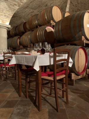 Thumbnail Barrel Room Tasting Experience "For the Passion” at Cantina Ricchi on Lake Garda