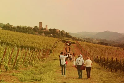 Thumbnail Cata de vinos y visita a Tenuta Quvestra en Oltrepò Pavese