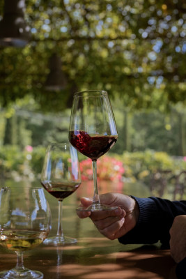 Thumbnail Tasting of 3 wines and 1 Vermouth at Castello di Radda in Chianti Classico