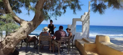 Thumbnail Cata de vinos Assyrtiko de Gaia en Santorini