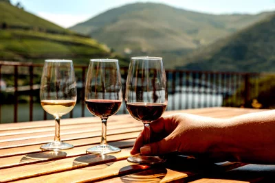 Thumbnail Douro Experience Wine Tour desde Oporto
