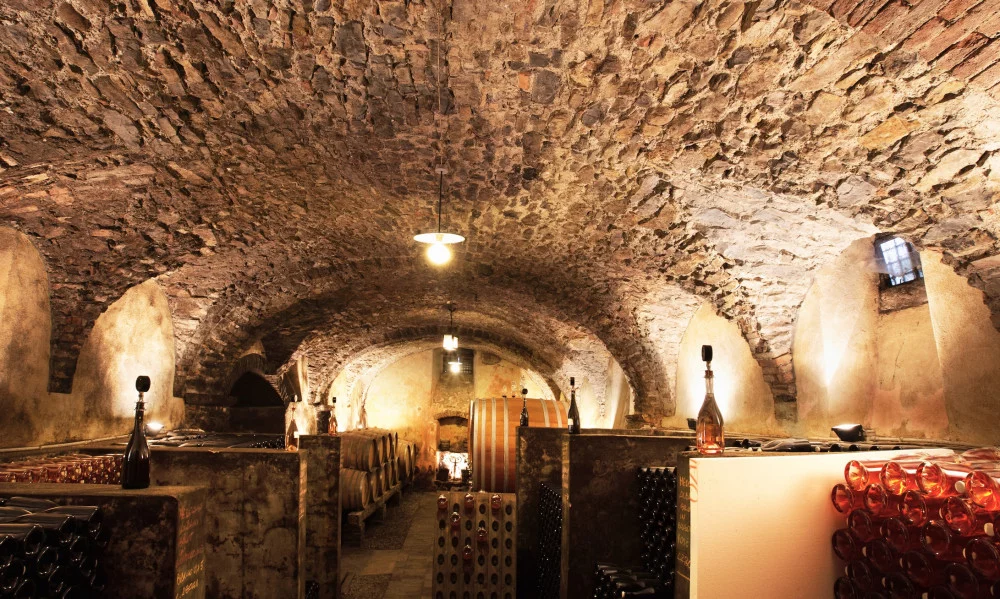 FAST Wine Tasting at Medolago Albani