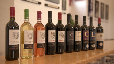 Thumbnail Wine tasting and tour at Castel di Salve in Salento