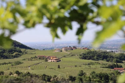 Thumbnail cata del "Arte del vino" en Le Bignele de Valpolicella