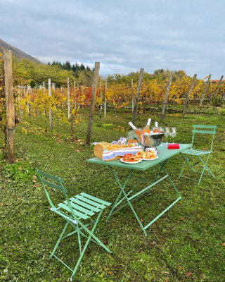 Thumbnail Panoramic Wine Tasting on the Ivrea Morainic Amphitheater with Garage Dell’Uva