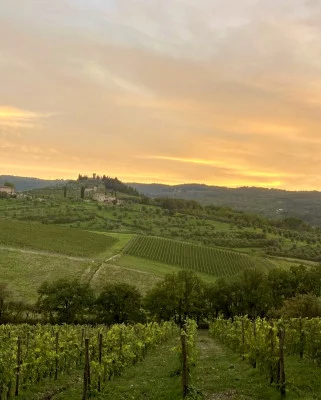 Thumbnail 2-night Harvest Experience at Corte di Valle in the heart of Chianti