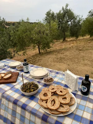 Thumbnail Merienda y degustación de aceite de oliva en el olivar de Tabatà