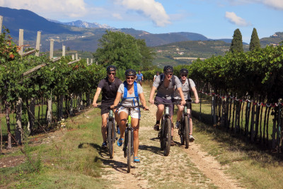 Thumbnail E-bike & Wine Tour della Valpolicella Classica in autonomia