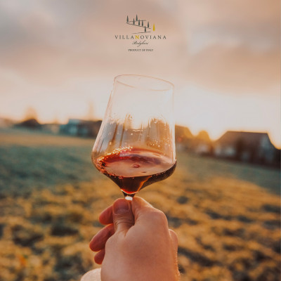 Thumbnail Bolgheri Premium Tasting Experience at the Villanoviana Winery