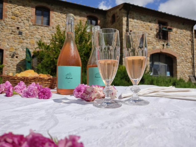 Thumbnail Tuscan Wine tasting & Light Lunch by independent winemakers at Fattoria di Statiano