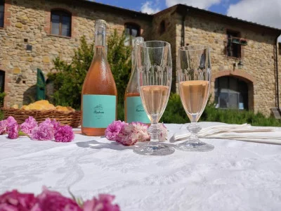 Thumbnail Cata de vinos toscanos y almuerzo ligero a cargo de enólogos independientes en la Fattoria di Statiano