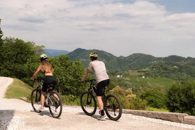 Thumbnail Excursión de aventura en bicicleta eléctrica y cata de Prosecco en Ville d'Arfanta