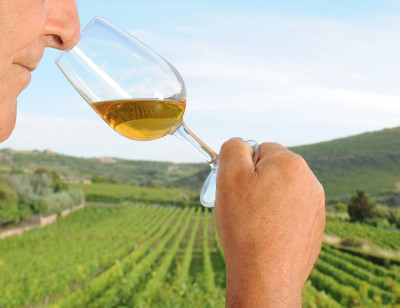 Thumbnail Wine tasting experience at Emidio Oggianu in the Bosa Malvasia area