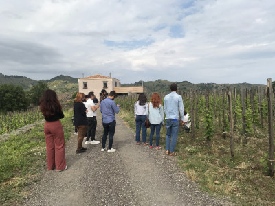Thumbnail Technical Tasting of 6 Etna Wines and vineyard visit at Emilio Sciacca