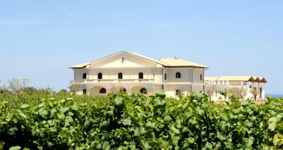 Thumbnail Wine Tasting & Tour Experience at Senatore Wines in Cirò Marina