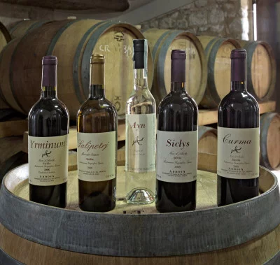 Thumbnail Visita a los viñedos y degustación de vinos naturales y aceite de oliva en la bodega Armosa