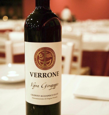Thumbnail Cilento Wine Tasting at Tenuta Girapoggio by Verrone
