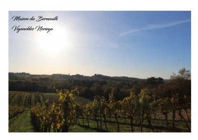 Thumbnail Excursión de descubrimiento con degustación de los vinos del Château de Berneuilh