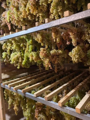 Thumbnail Besichtigung des Weinguts und Weinprobe in der Cantina del Colonna in Alta Valle del Tevere