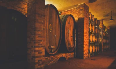 Thumbnail Premium wine tour and tasting at Dosio Vigneti in La Morra
