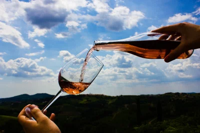 Thumbnail Cata de vinos con vistas panorámicas en la finca vinícola Peršolja