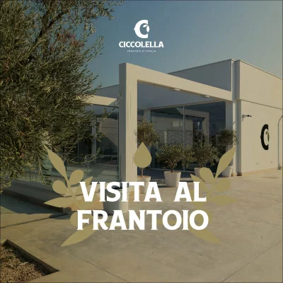 Thumbnail Oil mill tour and olive oil tasting at Frantoio Ciccolella